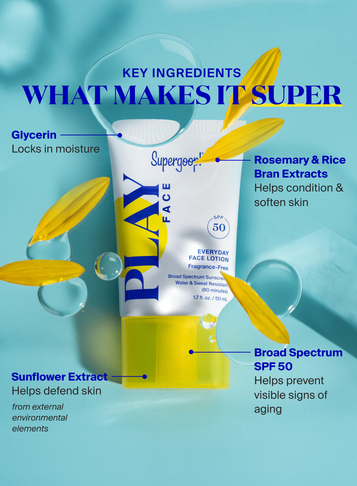 PLAY Everyday Face Lotion SPF 50 Fragrance-Free